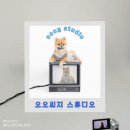 미사반려견스튜디오 오오씨지(oocg) 반려견 프로필 촬영후기