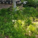 삽시도우리펜션 이미지