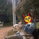 지에스25 용인문예회관점 이미지