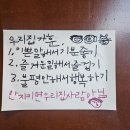 백일호