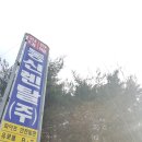 대리가설재