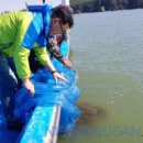 보리수산 이미지