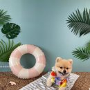 주교약국 이미지