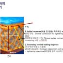 지나스킨 - 포항시 남구 중흥로126번길 15-1 | 지나스킨