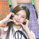 6월17일 더 쇼 힛지스 Gross 영상 이미지