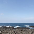 마라도천연보호구역 | [국가유산여행] 제주 마라도 천연보호구역 <26.01.29.(목)>