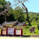 강원도 고성 힐링 여행지 추천, 천년고찰 금강산 건봉사 후기