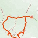 말하는은행나무 이미지