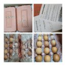 푸름농장 이미지