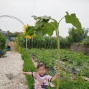 글로리아어린이집 이미지