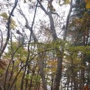 남산(서천분교)초등학교 이미지