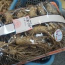 신신상회 이미지