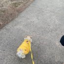 원적산공원 이미지