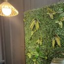 스테이엘 이미지