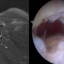 든든한병원 이미지