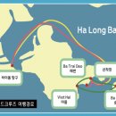 베스트레블인터내셔널