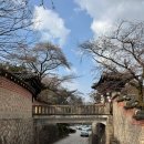 한옥 | 북한산 우이동 카페 선운각 한옥 벚꽃 뚜벅이 방문 후기