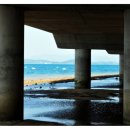 진목초등학교 이미지