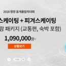 [2018 평창]“평창올림픽, 외국서 열리나요?”… 터무니없는 패키지 가격 ‘눈살’ 이미지