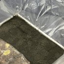 방배로19길 36-33 | 으잉.. 벌써 2월이 반이나