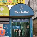대구 서구 퀸스로드 안 300평 규모의 강아지 유치원 젠틀펫