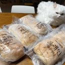 품속동물병원 이미지