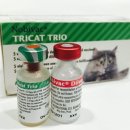 원 동물약국 이미지