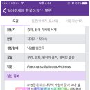 OK 네이버블로그