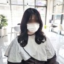 로메르 헤어
