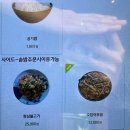 세븐일레븐통영죽림바다점 | 통영 죽림 맛집 구을비 해물모듬솥밥 바다뷰 한식 밥집