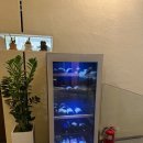 바이글라스 이미지