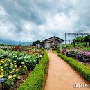 곡성-265 이미지