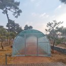 중앙공원 안 이미지