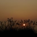 하늘공원 이미지