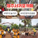 신 청동오리 | 서귀포카페 제주도 놀거리 제주 카페 추천 어린왕자감귤밭