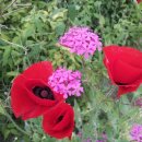 옥계남로-2 이미지