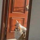 외계인떡볶이 네이버블로그