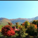 치목할머니경로당 이미지