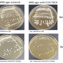 효능평가센터 이미지