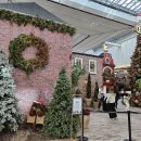 복덩이 한우2 이미지