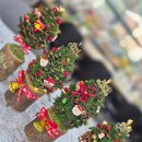 앵콜특강_크리스마스트리 만들기 | [부산 원데이클래스 추천] 프리저브드 삼나무 솔방울 크리스마스트리 만들기 후기