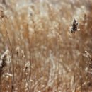 노타이틀 이미지