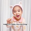 꼬마성어린이집 | 이지혜가 선택한 아기 유아칫솔추천 │ 미세플라스틱 걱정없이 대나무소재로 더 안심되는 닥터노아칫솔...