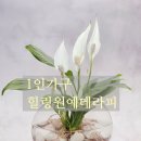 양재2동 주민센터 이미지