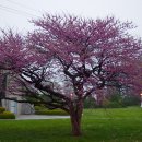 조안2리 마을회관 이미지