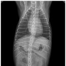 양주 온 동물병원 이미지