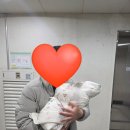 (주)결한방산후조리원 김포점 | 김포 결한방산후조리원