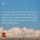 안락누리도서관 | 9월 3째주 일상모음📝9월은 독서의 계절·강아지와 산책·엑디즈싸인포카까지 완벽했던 일상