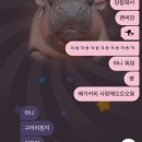 메가커피 | 라이즈 메가커피팬싸후기!!!