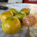 산새소리캠핑장 이미지